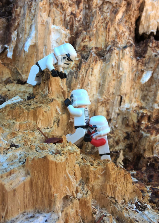 Stormtroopers 2 03
