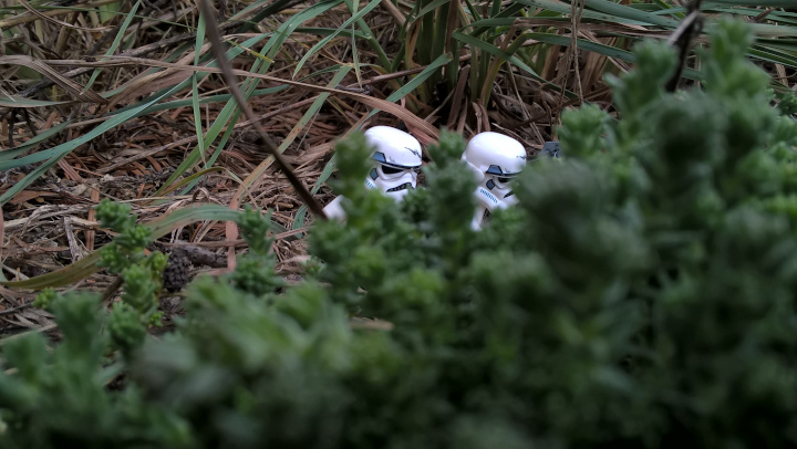 Stormtroopers 2 11