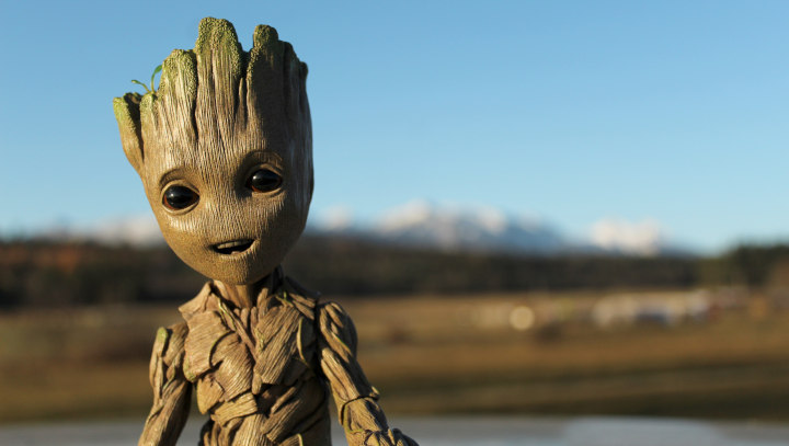 Groot december 2020