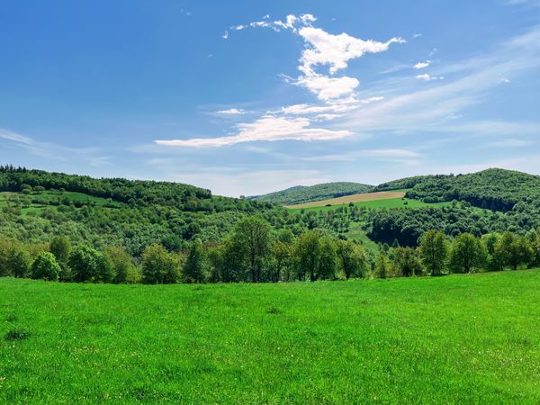 Prechádzka v Brdárkach – aj keď čerešne odkvitli, príroda nesklamala